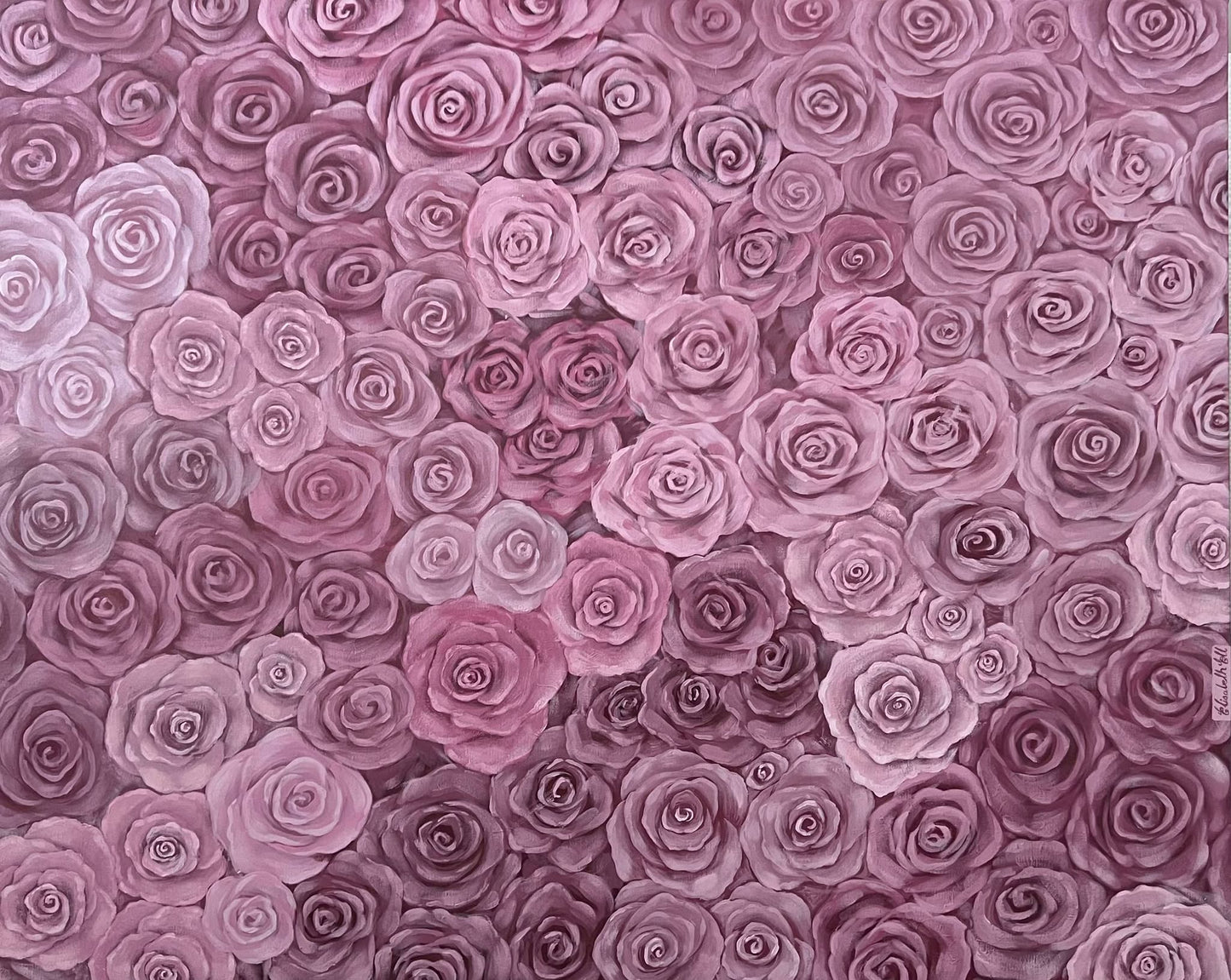 Pink roses
